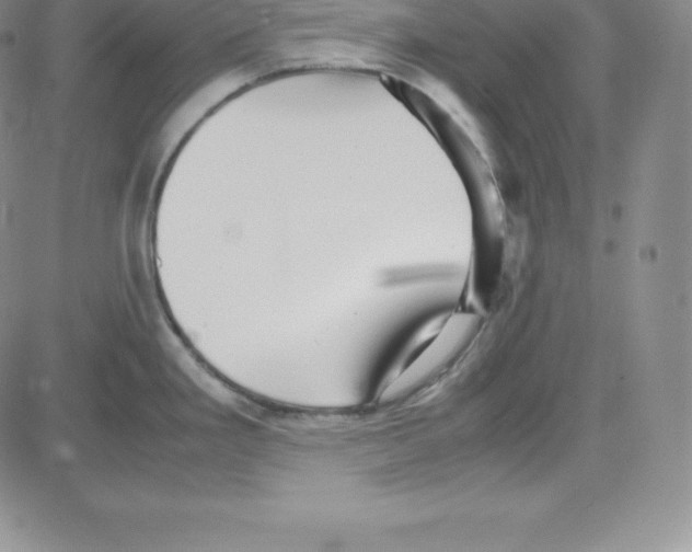 X0000080111293200701051320