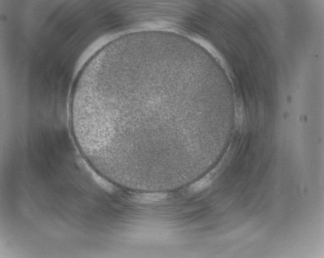 X0000080111294200701051320