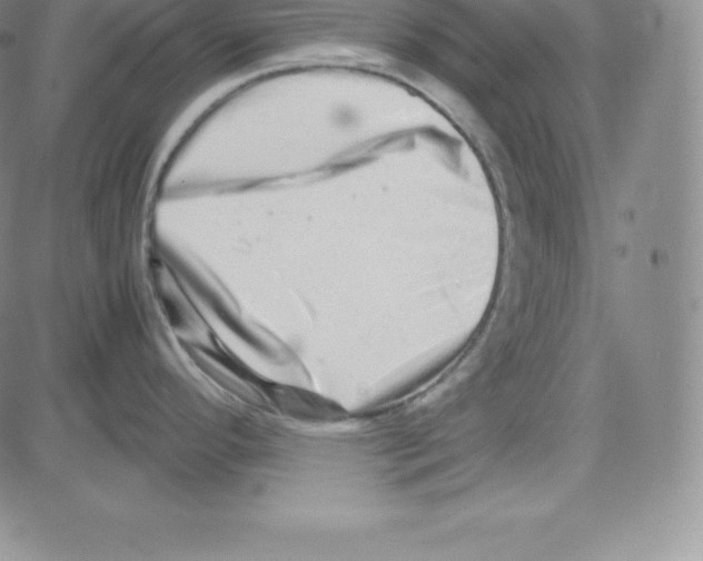 X0000080111296200701051320