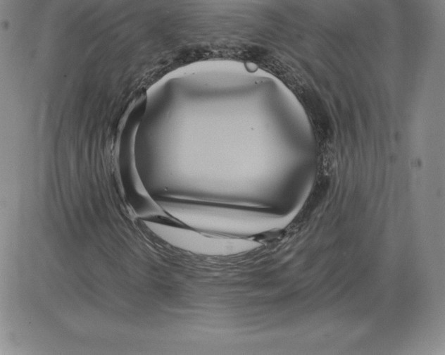 X0000080111298200701051319