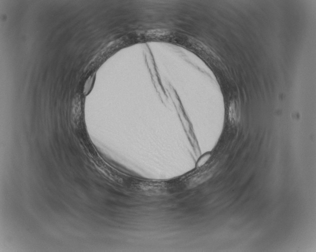 X0000080111299200701051319