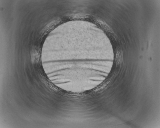 X0000080111300200701051319