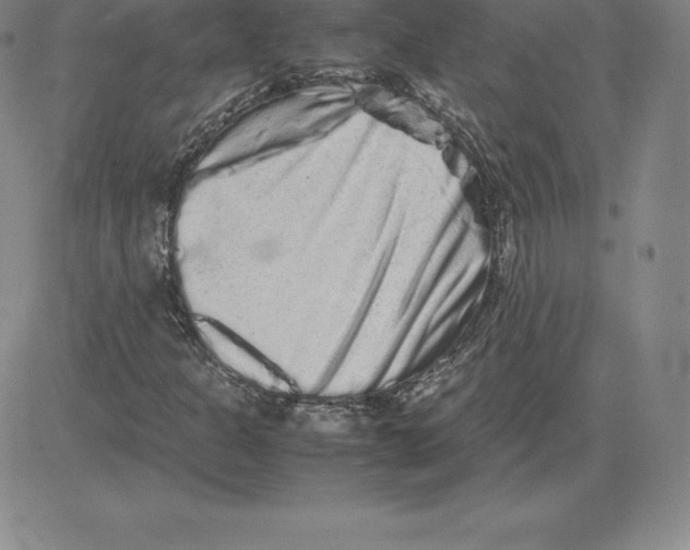 X0000080111301200701051319