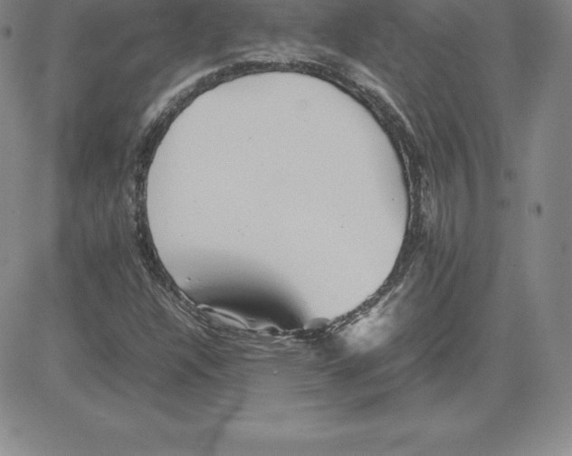 X0000080111304200701051319