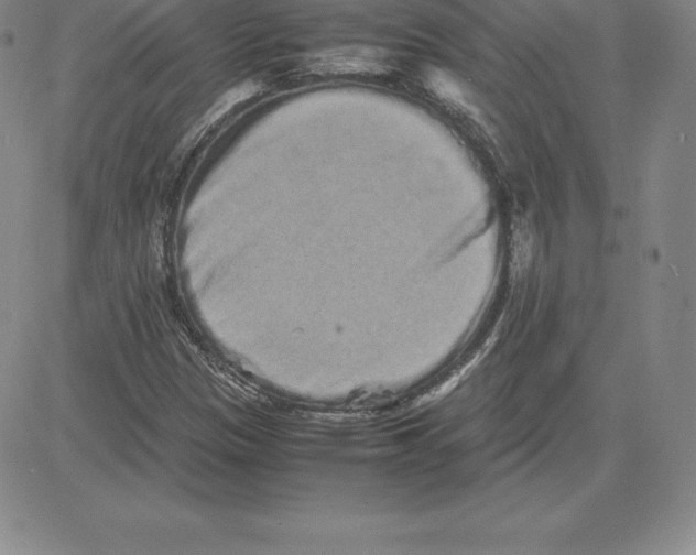 X0000080111305200701051319