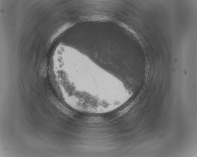 X0000080111306200701051319