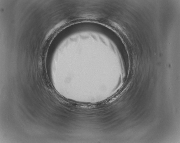 X0000080111307200701051319