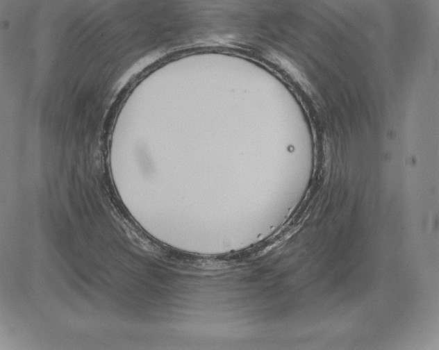 X0000080111308200701051319