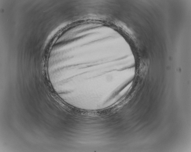 X0000080111310200701051319