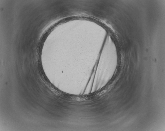 X0000080111311200701051319