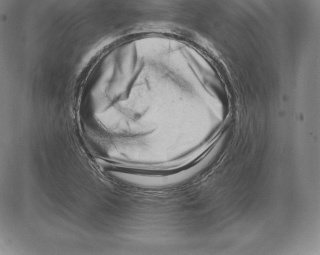 X0000080111312200701051319