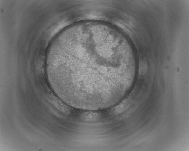 X0000080111314200701051320