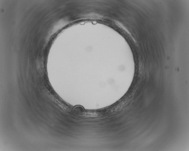 X0000080111315200701051320