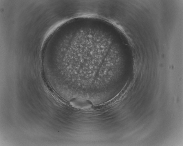 X0000080111319200701051320