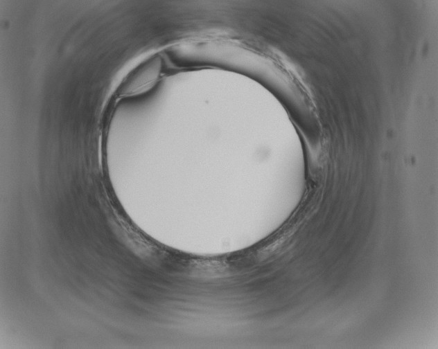 X0000080111320200701051320