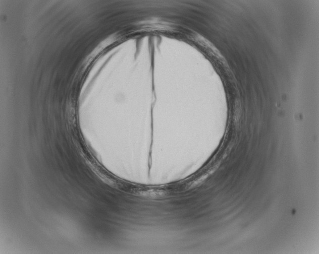 X0000080111321200701051320