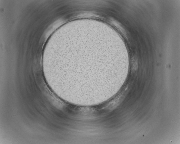 X0000080111322200701051320