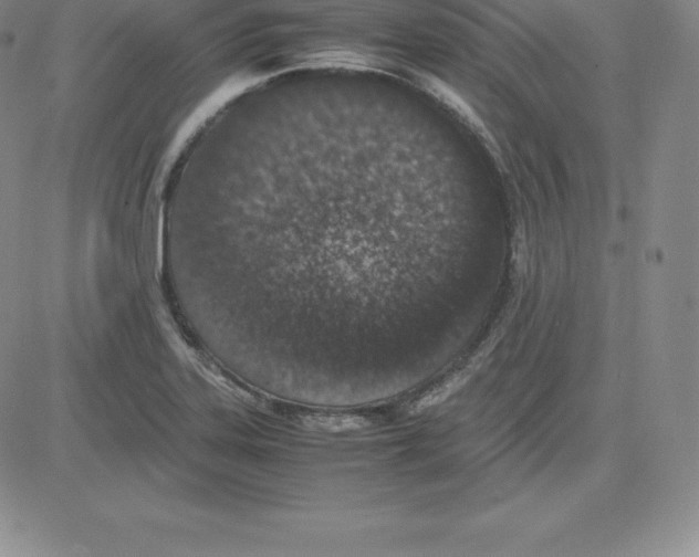 X0000080111323200701051320