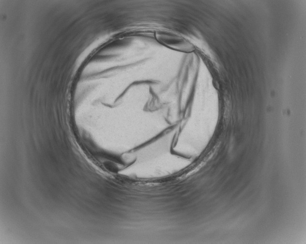 X0000080111325200701051320