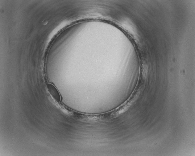 X0000080111326200701051320