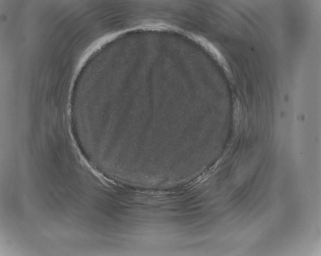 X0000080111327200701051320