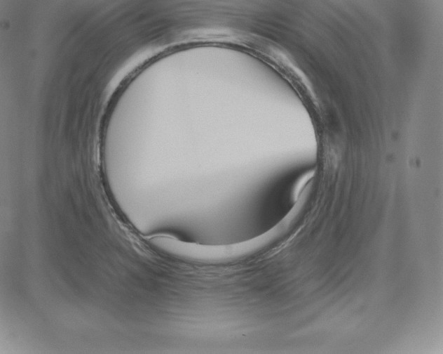 X0000080111328200701051320