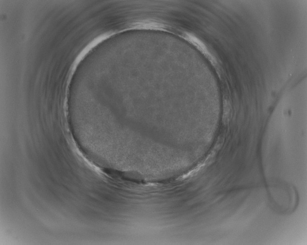 X0000080111331200701051320