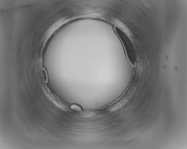 X0000080111332200701051320