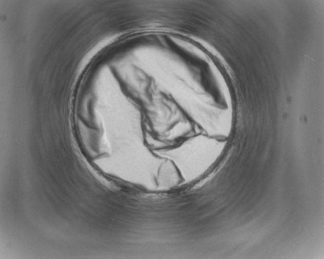 X0000080111333200701051320