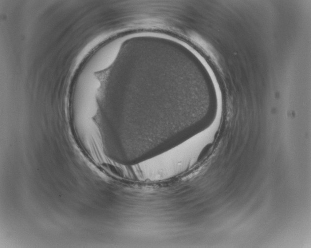 X0000080111334200701051320