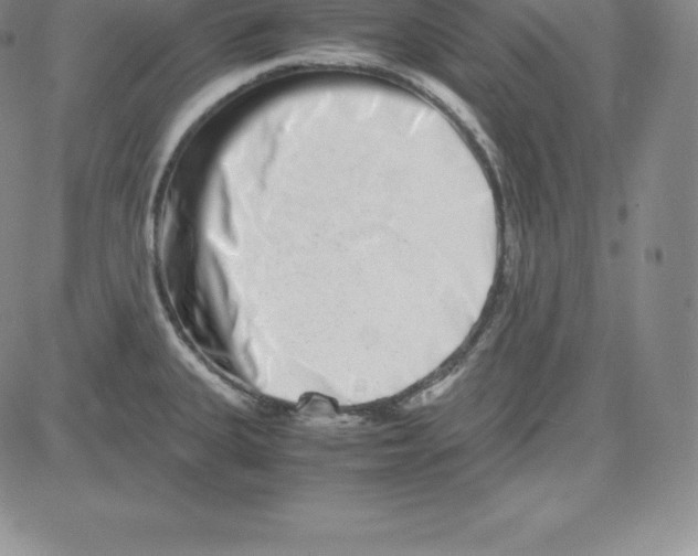 X0000080111335200701051320