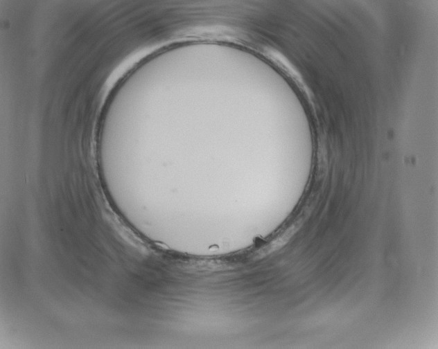 X0000080111336200701051320