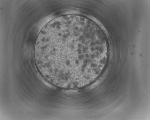 X0000080111337200701051320