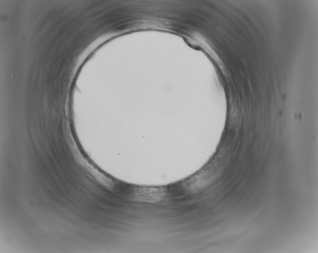 X0000080111339200701051320