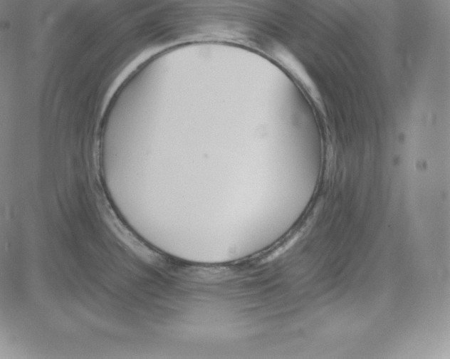 X0000080111340200701051320