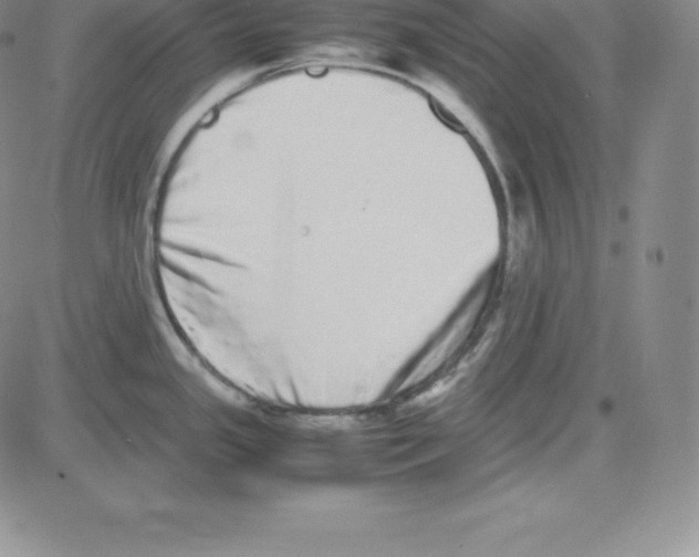 X0000080111341200701051320