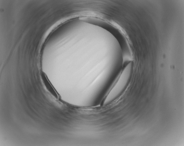 X0000080111342200701051320