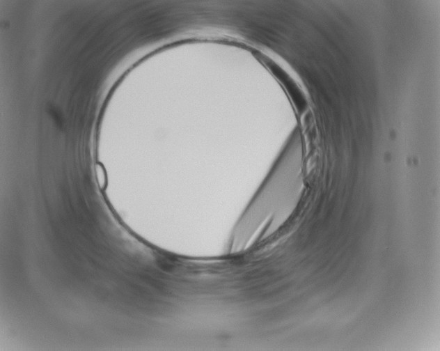 X0000080111343200701051320