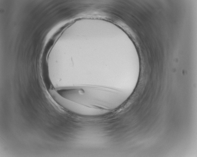 X0000080111344200701051320