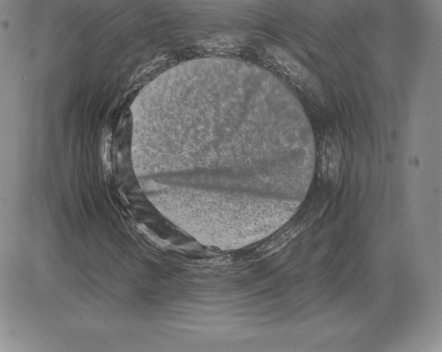 X0000080111346200701051319