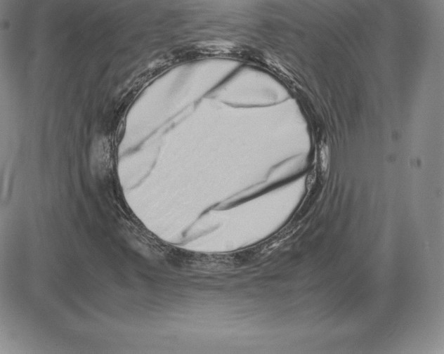 X0000080111347200701051319