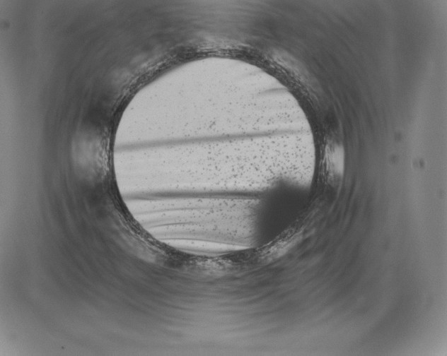 X0000080111348200701051319