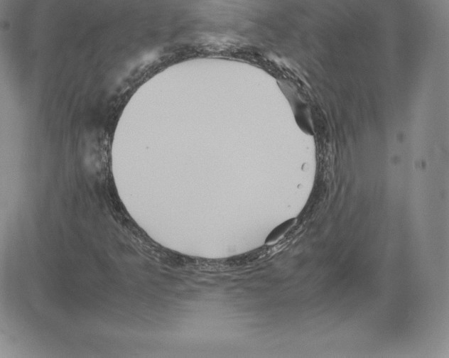 X0000080111349200701051319