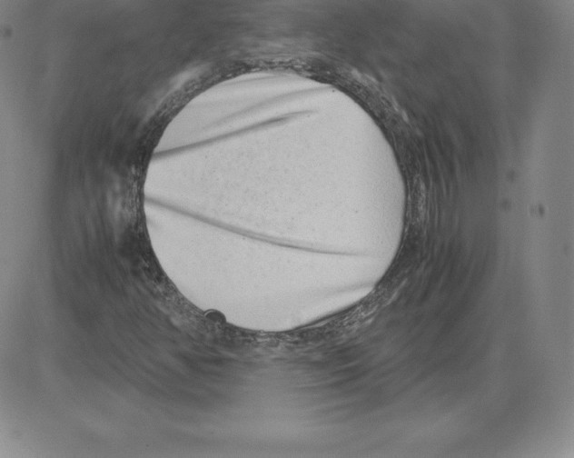 X0000080111350200701051319