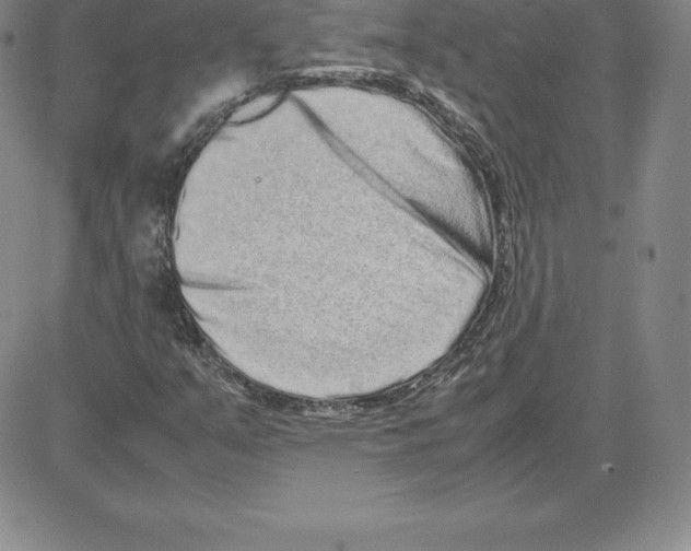 X0000080111351200701051319