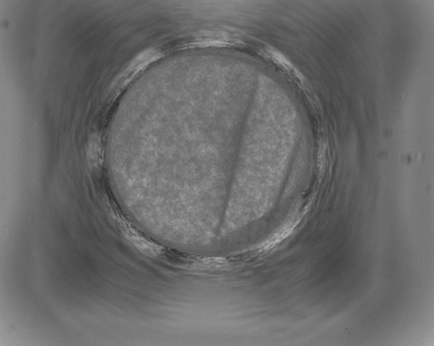 X0000080111353200701051319