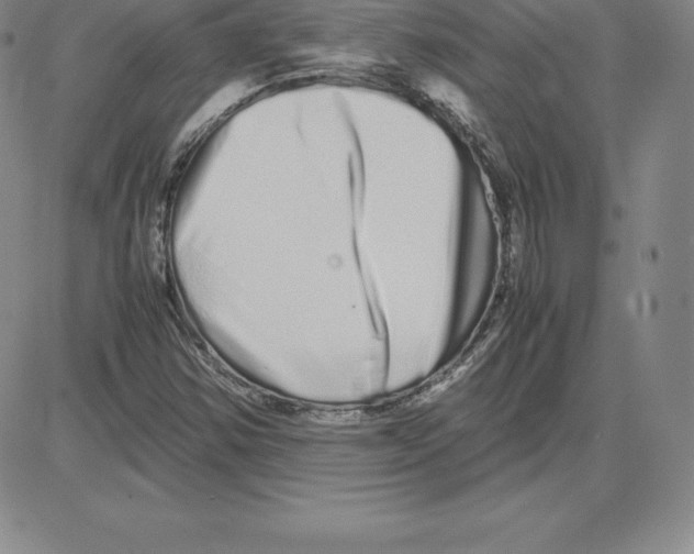 X0000080111354200701051319