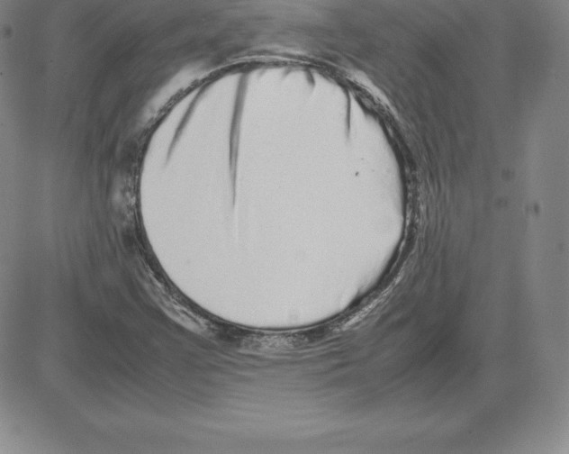 X0000080111355200701051319