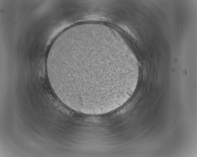 X0000080111358200701051319