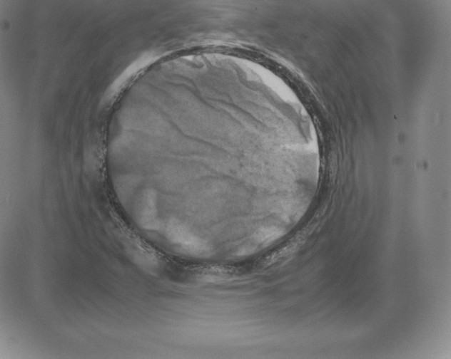 X0000080111359200701051319